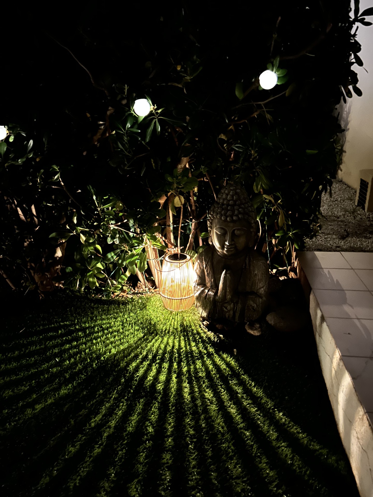 Jardin le soir 